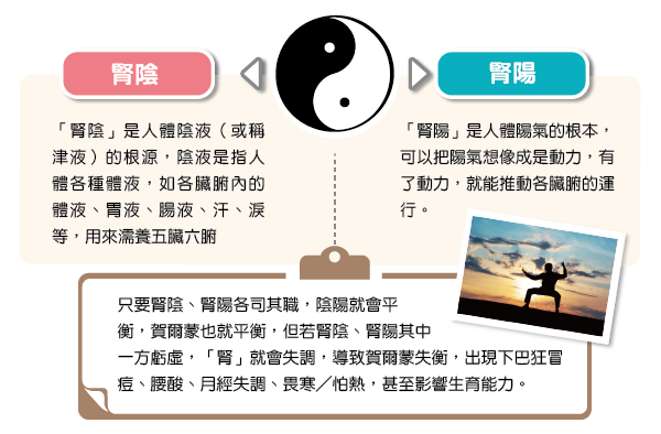 下巴長痘痘原因：下巴長痘痘與腎失調有關