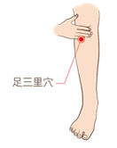 足三里穴：強健脾胃，使氣血旺盛