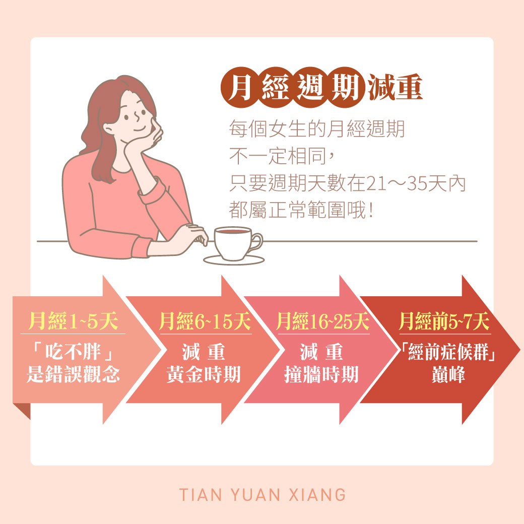 月經週期四階段