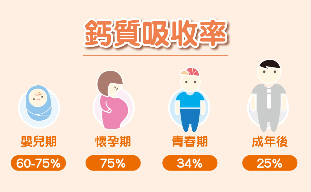 人體對鈣質的吸收率會隨著年紀而下降