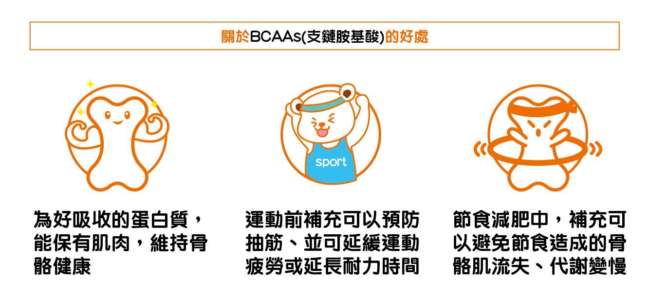 想幫身體留住鈣，就從吃進好的蛋白質BCAAs（支鏈胺基酸）著手
